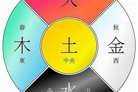 水豬命格|【水豬命格】水命豬五行缺什麼 